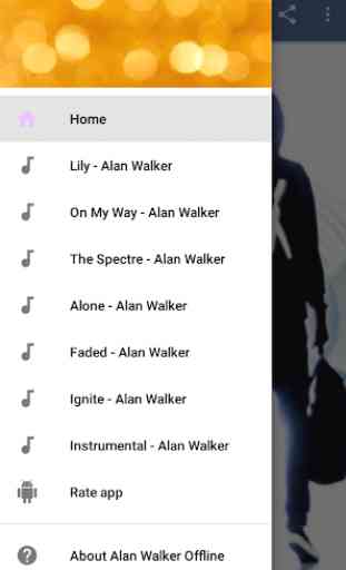 Alan Walker Offline 3
