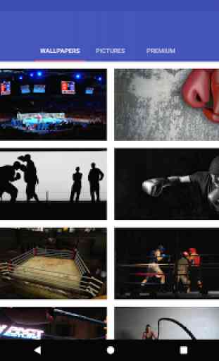 Boxing Wallpapers HD 3