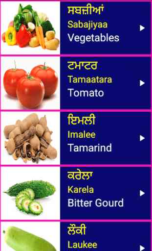 Learn Punjabi From English 1