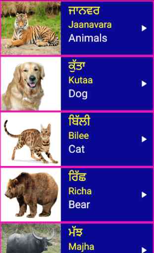 Learn Punjabi From English 2