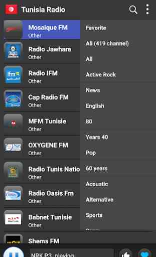 Radio Tunisia - AM FM Online 4
