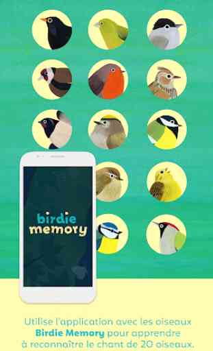 Birdie Memory 1
