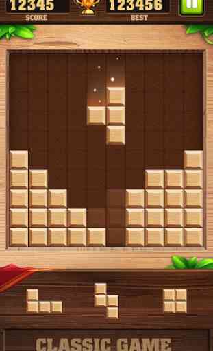 Block Puzzle Game - Brick Game 3