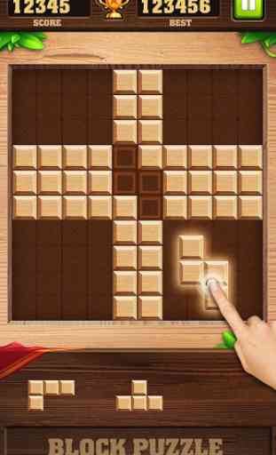 Block Puzzle Game - Brick Game 4