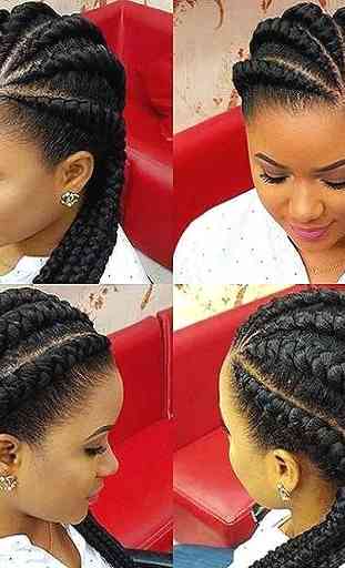 Braids, Twists & Cornrow Hairstyles 4