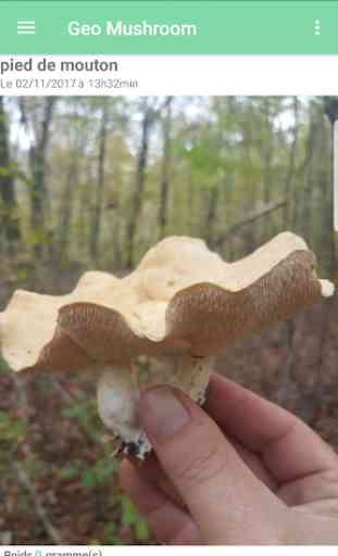 Geo Mushroom - Champignon cueillette 2