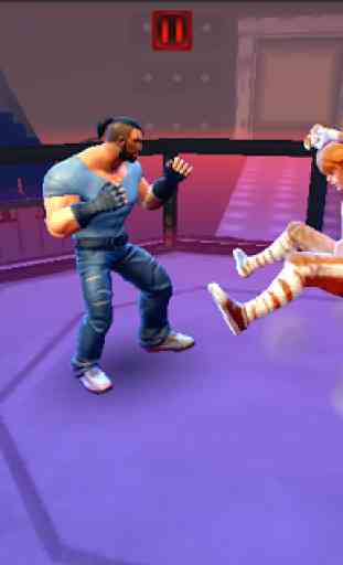 Punch Boxing Fighter: Kung Fu Stars 2