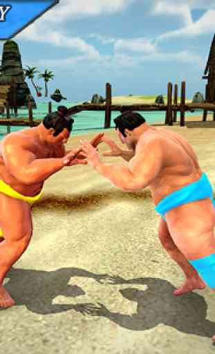 jeux de lutte sumo combats 3d jeu gratuit 1