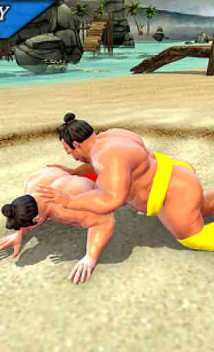 jeux de lutte sumo combats 3d jeu gratuit 3