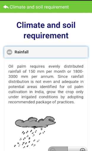 Oil Palm Cultivation English 4
