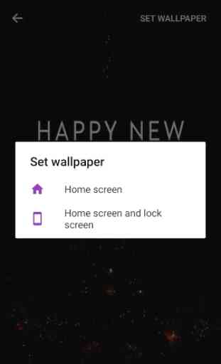 Happy New Year 2019 Live Wallpaper 2