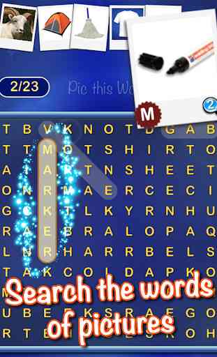 Pic this Word - picture search 1
