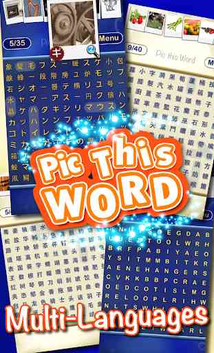 Pic this Word - picture search 2