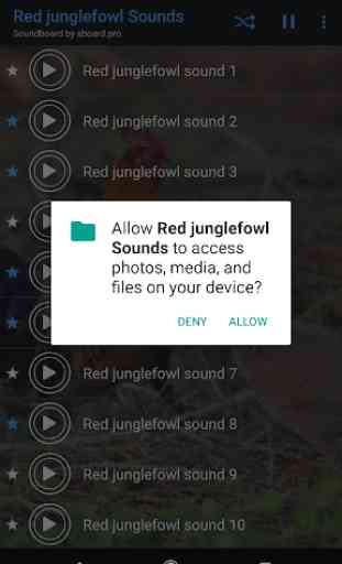 Sons junglefowl Red ~ Sboard.pro 3