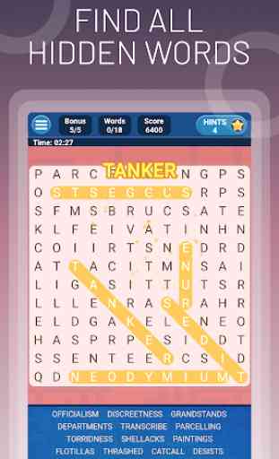 Amazing Word Search 4