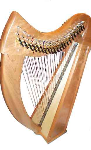 Apprendre à jouer de la harpe 4