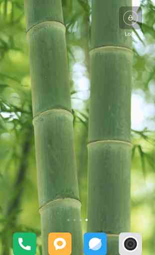 Bamboo Wallpaper HD 2
