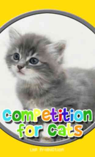 competition pour des chats - jeu gratuit 1