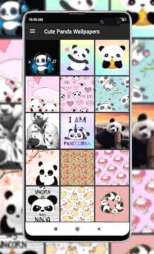 Cute Panda Wallpapers 2