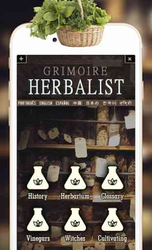 Grimoire herboriste 4