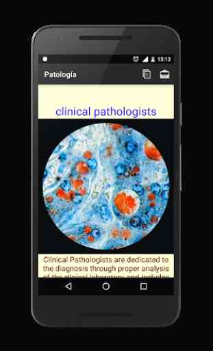 Pathologie 4