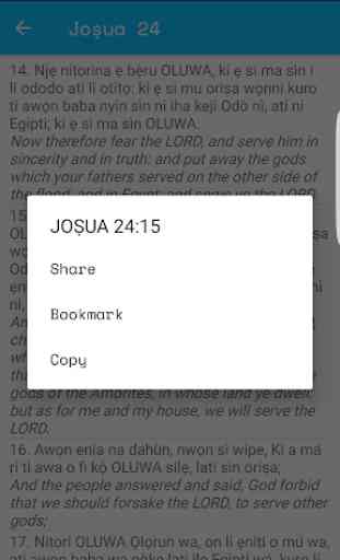 Yoruba - English Bible 4