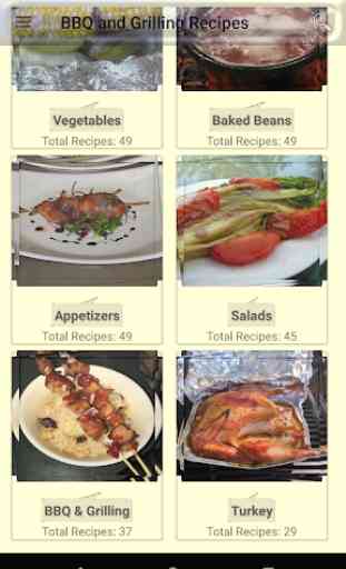 Bbq and Grilling Recipes 1