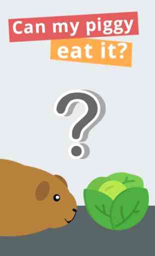 COBIFOOD: Search suitable food for guinea pigs 1