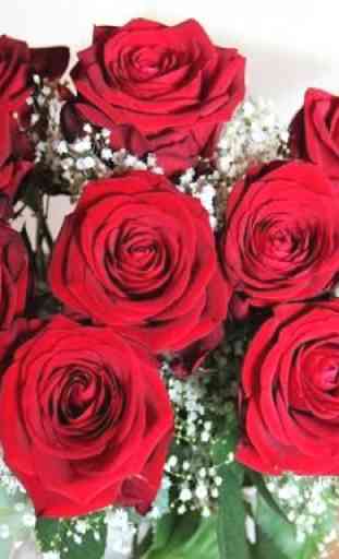 Flores y Rosas Rojas imágenes gratis 4