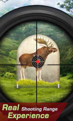 Moose Target Shooting 1