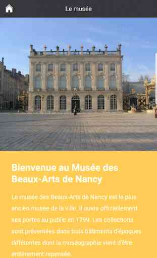 Musée des Beaux-Arts de Nancy 2
