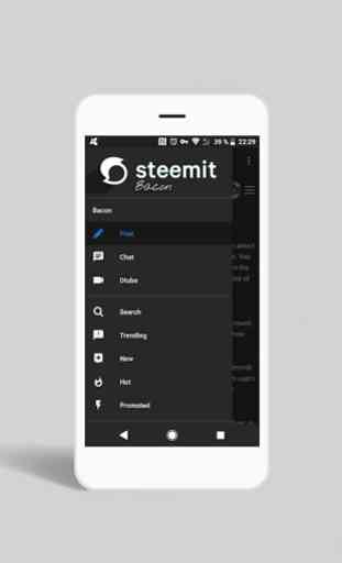 Steemit application 2