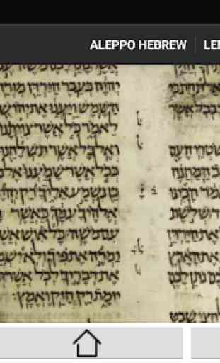 Ancienne Bible hébraïque 3
