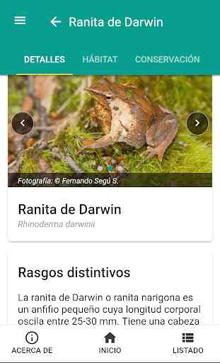 Fauna chilena 3
