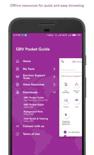 GBV Pocket Guide 3