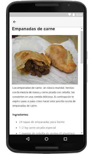 Recettes Faciles Empanadas App 2