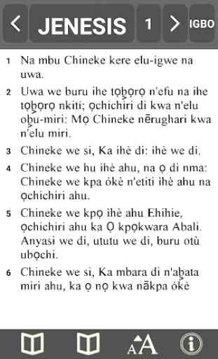 Yoruba & Igbo Bible 3