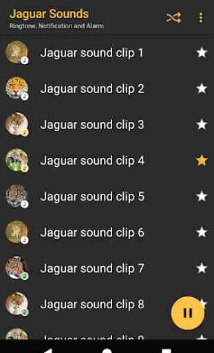 Appp.io - sons Jaguar 2