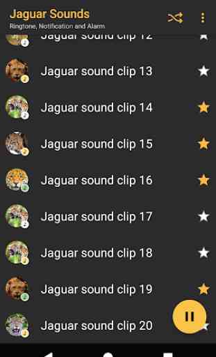 Appp.io - sons Jaguar 3