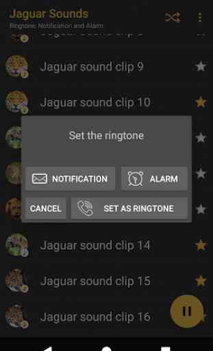 Appp.io - sons Jaguar 4