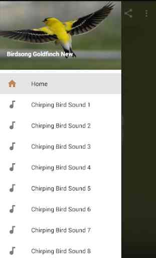 Birdsong Goldfinch New 1