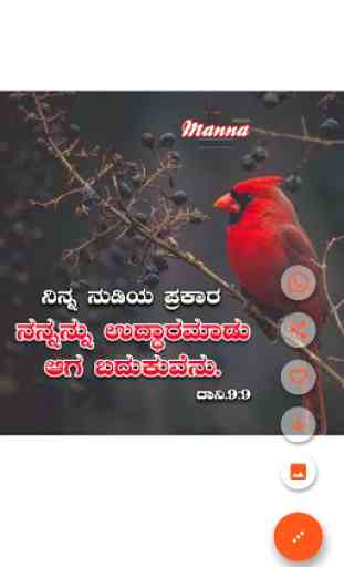 Daily Bible promise cards - Kannada English Tamil 1