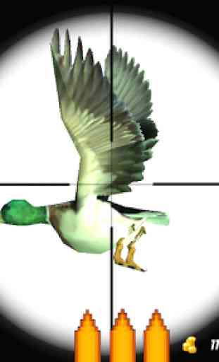Duck Hunting Unlimited 3D 4
