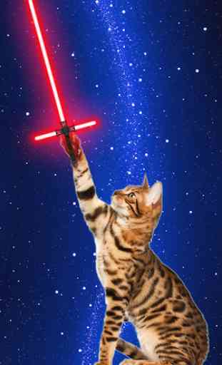 Laser au néon - Jouet pour chat 1