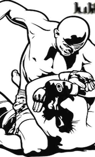 Le meilleur guide d'arts martiaux Jujitstu 1