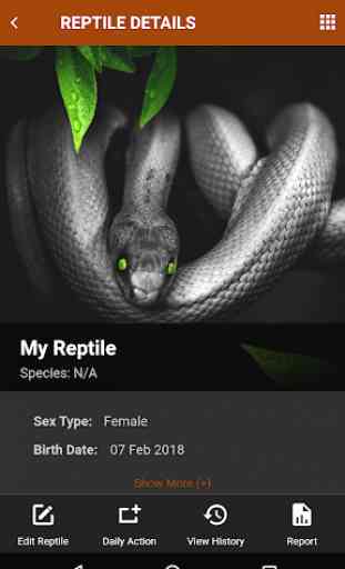 My Reptiles 1