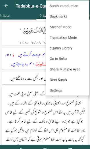 Tadabbur-e-Quran - Maulana Amin Ahsan Islahi 4