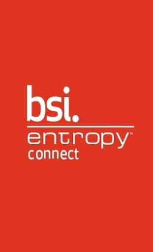 BSI Entropy Connect 1