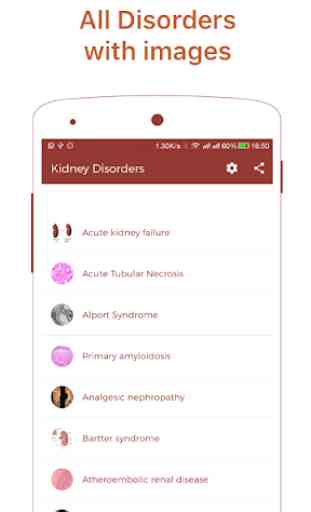Kidney Diseases & Treatment 2