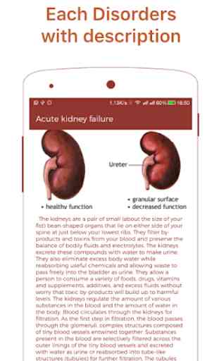 Kidney Diseases & Treatment 3